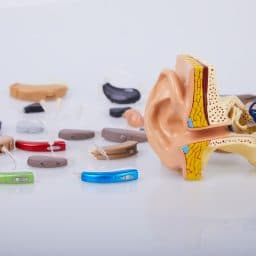 Hearing Aid Technology